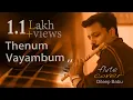 Lagu Thenum Vayambum Flute Cover by DileepBabu