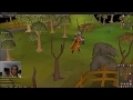 OSRS Slayer Guide Bears