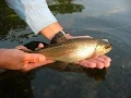 Lake Junior Winter Trout Stocking