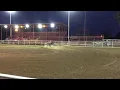 Lot 97 - 2009 Sorrel Grade Horse Gelding