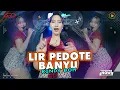Download Lagu Rindy BOH - Lir Pedote Banyu (Official Music Video)
