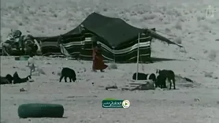 البدو في زمن الطيبين مع شيلة يازين وقت فات ماهوب هلحين 