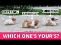 8 Types of Shih Tzu and How to Identify Them