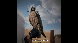 يا دار ترفين الصبا وين خلي ميحد حمد حصري ا لديارهم يا طير شل المثلي 