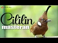 Download Lagu MASTERAN CILILIN GACOR DURASI PANJANG