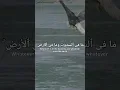 Download Lagu Surah Ibrahim | Shaikh Mishary Rashid Al-Fasy   #quranverses  #shortvideo