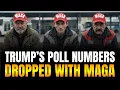 MAGA Is Increasingly Dissatisfied With Trump What Does It Mean For The 2026 Midterms