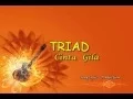 Download Lagu TRIAD - Cinta Gila (Song Lyric Production)
