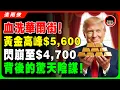 Lagu 【突發】黃金大崩盤，暴跌$800！這是普通人最後一次逆天改命的機會？27萬人瞬間爆倉，最後的上車機會？揭秘金價見頂前「5大信號」看完才決定！#黃金 #金價 #2026投資 #閃崩 #美股 #金融風暴
