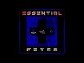 Download Lagu Kerwin Du Bois - Essential Feter