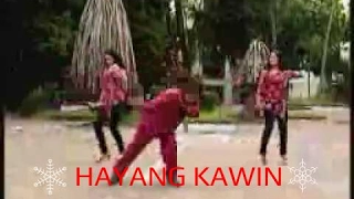 kun kun hayang kawin