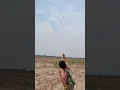 Download Lagu boy shooting flying bird  #shoot #slingshot #kalapati #shorts #viralvideo #foryou #short#hunting