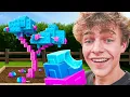 Download Lagu I Grew A CANDY BLOSSOM In REAL LIFE..