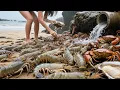 Download Lagu Xiao Zhang's Incredible Luck, All Kinds Of Seafood Are Constantly Available