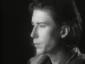 The Psychedelic Furs - The Ghost in You (Official Video)