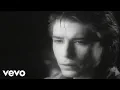 Download Lagu The Psychedelic Furs - The Ghost in You (Official Video)