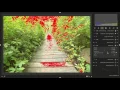 My darktable Workflow