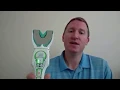 How to Set Up Your T-Scan Novus Handpiece