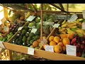 Organic Farm Life Ono Organic FarmsMaui Hawaii