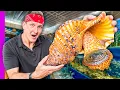 Desafio de mariscos de 1000 dolares en Vietnam Los mariscos mas exoticos de Asia