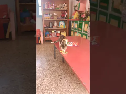 قطنا جائع 😁 قسم التحضيري preparatory class
