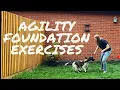NO EQUIPMENT AGILITY FOUNDATION EXERCISES FOR DOGS AND PUPPIES Start here before starting agility