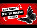 The Black Butterfly Meaning Symbolism Spiritual Significance