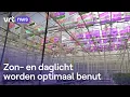 Download Lagu Serres van Proefcentrum Hoogstraten krijgen hoogtechnologische schermen