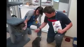 Matsu Animal shelter volunteer