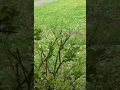 Katy Texas sees hail for the second day in a row