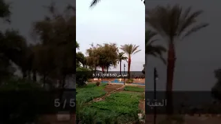 تصويري بالعقبة الأردن 