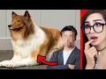 Man Spends 20000 to look like DOG