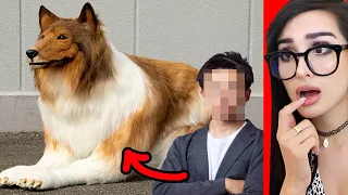Man Spends 20000 to look like DOG