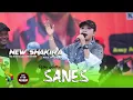Download Lagu SANES - Ratna Antika - NEW SHAKIRA Music - DHEHAN Music - Live Bojonegoro