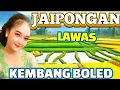 Download Lagu JAIPONGAN LAWAS KEMBANG BOLED