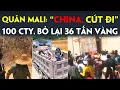 Download Lagu Cuộc nổi dậy ở Mali: Trung Quốc bị đuổi đánh rời đi, người Hoa bị bắt cóc, doanh nghiệp bị cướp.