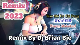tian shi de chi bang sayap malaikat electro remix manyao by dj brian bie