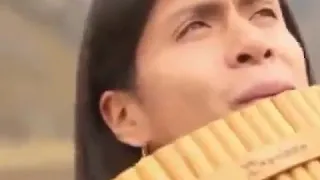 هارمونيكا دندنها