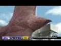 Manitou Springs installs new eagle statue