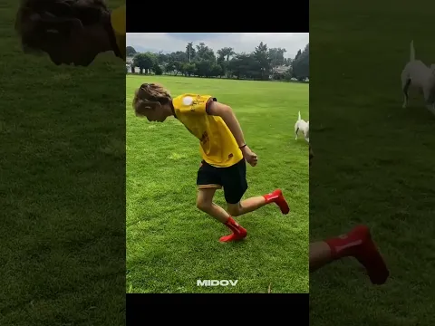 Animals x Footballers ☠️