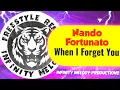 Download Lagu Nando Fortunato – When I Forget You (DeepStyle Extended Mix DJ WS)