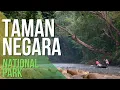 Download Lagu Taman Negara Terbesar di Malaysia