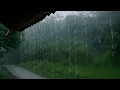 Download Lagu Je hebt alleen het geluid van zware regen en onweer nodig om beter te kunnen slapen | ASMR –indorain