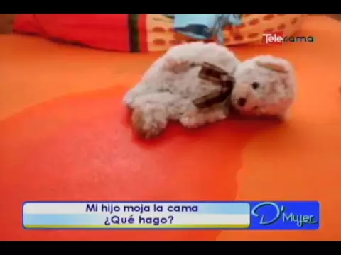 Mi hijo moja la cama ¿Qué hago?