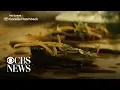 Michael Voltaggio is passionate about telling stories through food - Paid Content