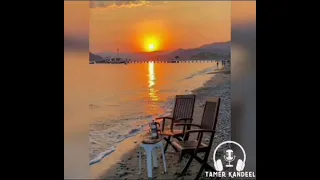 دي حكاية هاني شاكر 