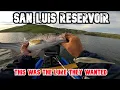 Lagu Het ENIGE kunstaas dat je nodig hebt voor zeebaars in het San Luis Reservoir!