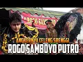 Download Lagu Full Tari Perang Celeng Srenggi Jaranan ROGO SAMBOYO PUTRO Terbaru 2021