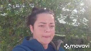 Нет войне! Помощь Украинским беженцам и Российским матерям!