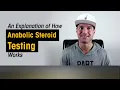 An explanation of how anabolic steroid testing works By Dylan Gemelli